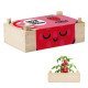 Caja Sauce