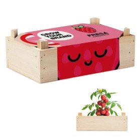 Caja Sauce