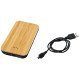 Power Bank inalámbrico 6000 mAh Future