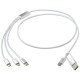 Cable 5 en 1 Versatile