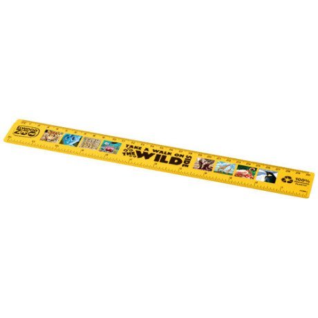 Regla 30 cms Refari
