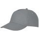 Gorra Elevate Essentials Feniks