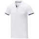 Polo Elevate Life Morgan