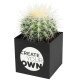 Maceta cactus Hey Pots