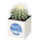 Maceta cactus Hey Pots