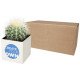 Maceta cactus Hey Pots