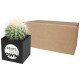 Maceta cactus Hey Pots