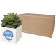 Maceta suculenta Hey Pots