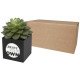 Maceta suculenta Hey Pots