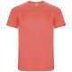 Camiseta Roly Imola