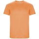 Camiseta Roly Imola