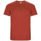 Camiseta Roly Imola