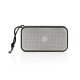 Altavoz Swiss Peak 10W RCS