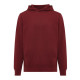 Sudadera capucha Iqoniq Yengo