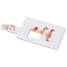 Memoria USB Memorama