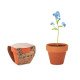 Maceta de terracota Forget Me Not