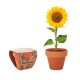 Maceta de terracota Sunflower