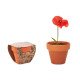 Maceta de terracota Red Poppy