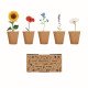 Kit cultivo de flores Flowers