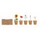 Kit cultivo de flores Flowers