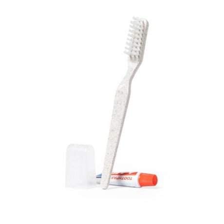 Set Dental Kit